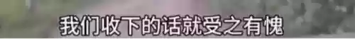 幸福宝8008隐藏入口2021(站长统计app最新版本2023)插图5