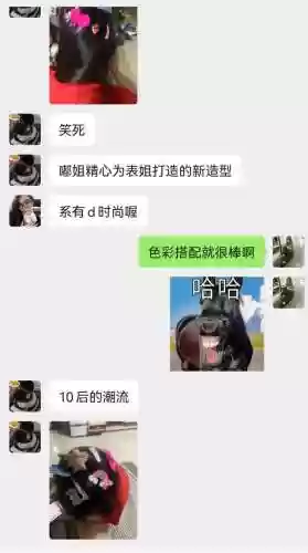 老六是什么意思网络用语(老六是形容什么样的人)插图2