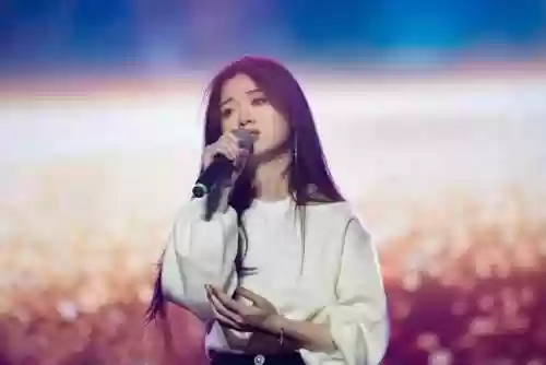 窦唯的阵容(窦唯十大歌曲)插图4