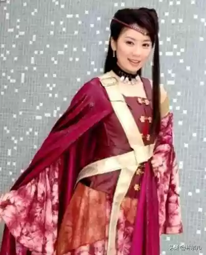 贾静雯天龙八部阵容图片(新天龙八部的演员表和角色介绍)插图4