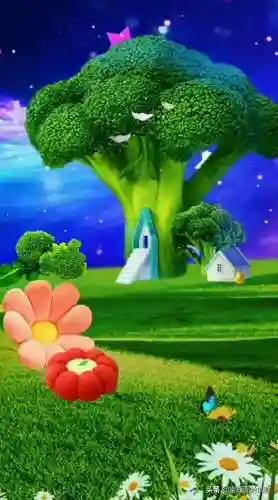 梦幻仙境壁纸(梦幻仙境唯美图片)插图1