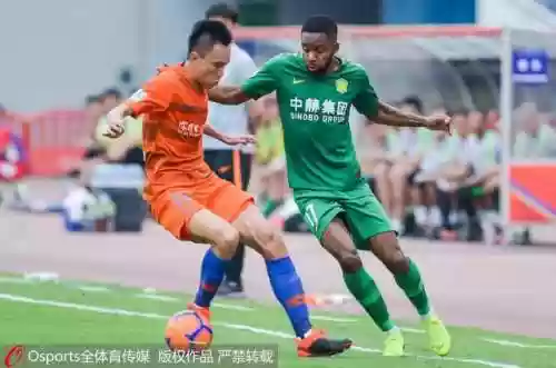 鲁能加时赛阵容(鲁能两将进最佳阵容)