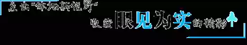 中国队最厉害前锋阵容(中国足球十大前锋排名)