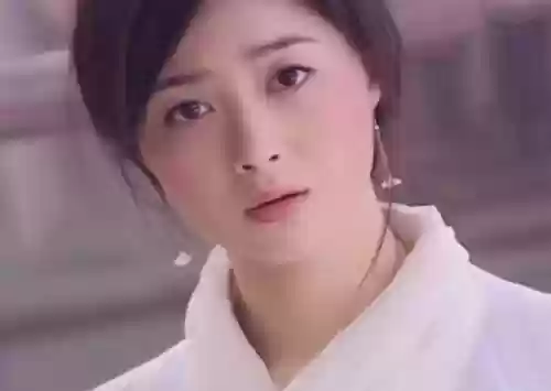 白面狐阵容(太白伙伴阵容用哪几个)插图5