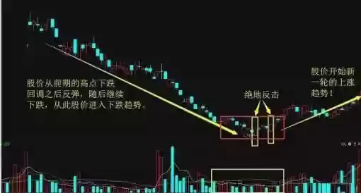 绝地反击战法阵容(100%减伤阵容介绍)