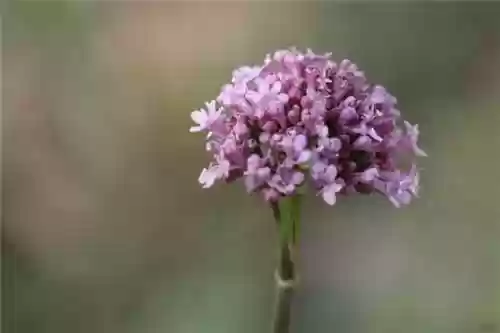 适合发朋友圈正能量短句(朋友圈励志句子)插图2