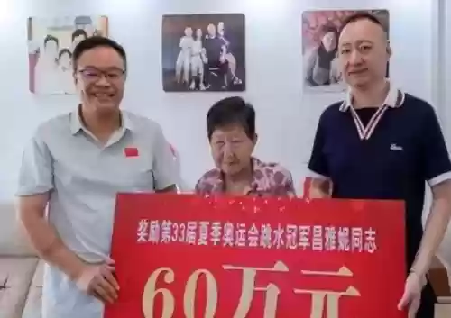 荣誉冠军阵容(omniheros最强阵容)插图4