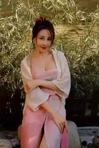 随机选择身份入宫的游戏(与深宫曲同类型的游戏)插图6