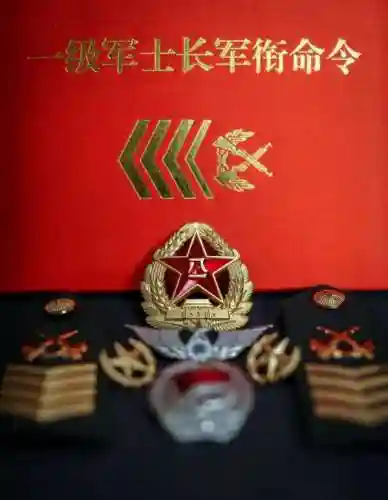 从军如何选阵容装备(从军配置要求一览)