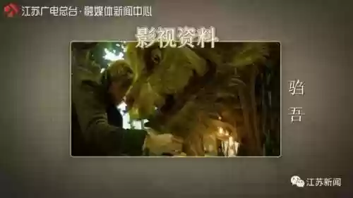 神兽是什么意思(神兽在家文案幽默句子)插图6