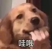 2023起名最火的网名(定制网名输入自己名字)插图1