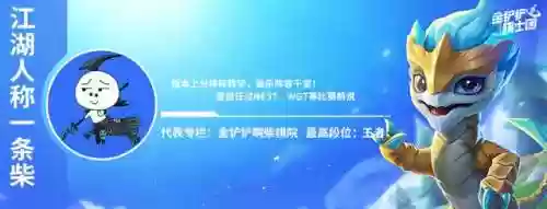 魔盗团阵容九级阵容(皇家骑士团最强12人阵容)