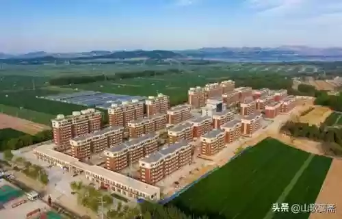 地球80亿人(全球人口总数突破80亿)插图6