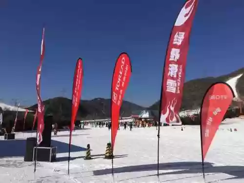 绿野首届阵容(小智橘子联盟冠军阵容)插图2