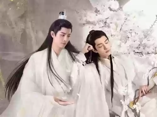 尘缘阵容搭配(尘缘SSRSR最强阵容)插图7