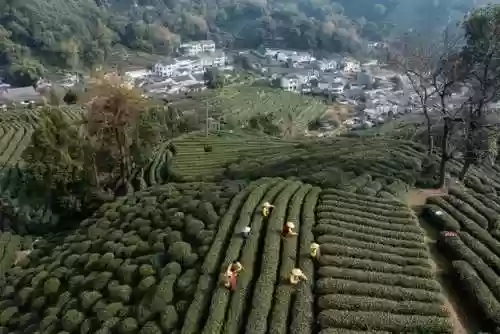 樱花校园2021更新版正版在哪下(樱花校园怎么怀孕)插图6