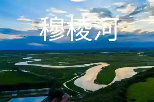 冒险公社谁克制医生阵容(什么阵容克制光系魂)