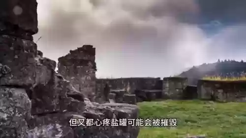 盐罐抢夺阵容(金铲铲之战s4.5阵容推荐)