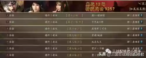铁骑阵容搭配(西凉铁骑最强阵容)插图3 铁骑阵容搭配(西凉铁骑最强阵容)插图3