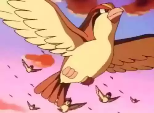 宠物小精灵小豪阵容(精灵宝贝平民最强阵容)插图1