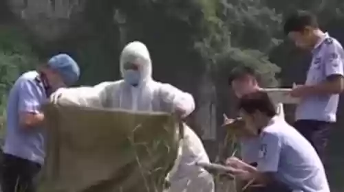 巨人观图片(法医为什么害怕巨人观)插图4 巨人观图片(法医为什么害怕巨人观)插图4