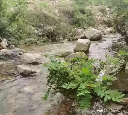 神秘钥匙怎么获取(心渊梦境水之领域钥匙在哪里)插图2