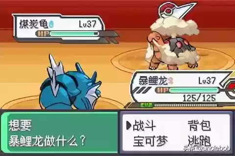 究极绿宝石战神阵容搭配(究极绿宝石3金手指大全)插图28