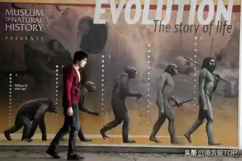 好看的丧尸病毒灾难片(如果丧尸病毒爆发人类还能活多久)插图32