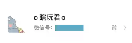 小翅膀符号一对(ᨳ另一边符号)