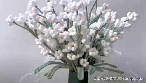 满天星花束(满天星花语及寓意)插图34