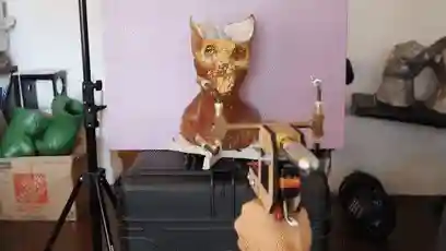 用一个口罩做一把枪(用纸壳做简单的枪)插图17