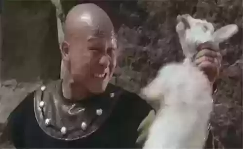 李连杰版少林寺演员阵容(少林寺最厉害的武功)插图15