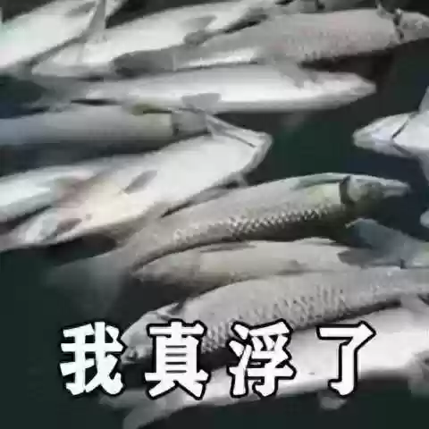 抖音最新版本(2024年最新抖音升级官方)