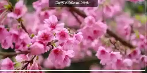 兵临城下29关阵容是谁(三国兵临城下破解版)插图10