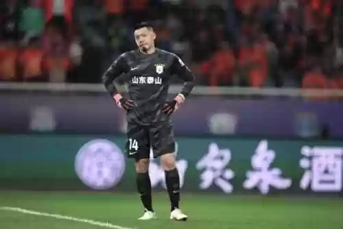 平行战士阵容(宝可梦t0阵容)