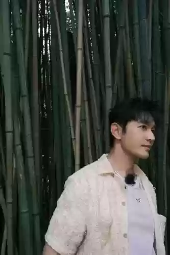 海鸥花园阵容(东港海鸥花园批八字)插图4