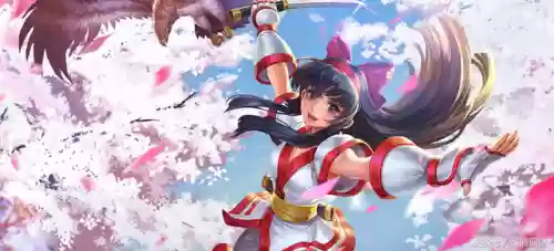 韩信打野阵容(韩信适合什么阵容)插图7