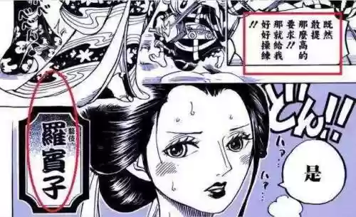 海贼王娜美是什么身份(海贼王娜美全名叫什)插图1