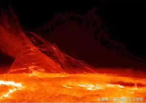 太阳阵容易(宝可梦t0阵容)插图4