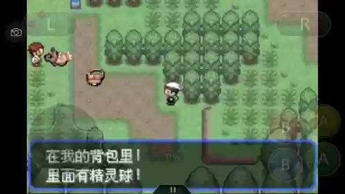 口袋妖怪绿宝石4新手阵容(口袋妖怪绿宝石阵容推荐)插图89