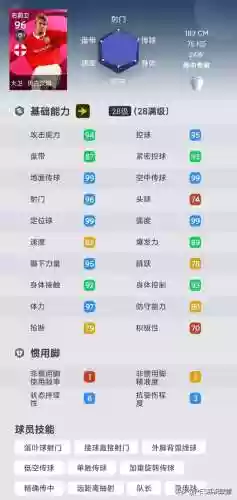 阵容评分99(宝可梦t0阵容)插图8