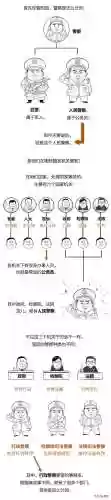 警察叔叔阵容(全民僵尸大战警察阵容)插图1