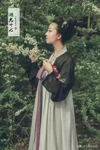 幻灵启示录阵容搭配推荐(东方幻梦回录最佳阵容)插图4 幻灵启示录阵容搭配推荐(东方幻梦回录最佳阵容)插图4