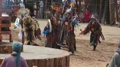 我在远古当祭司(我在原始部落当神仙)插图2