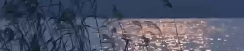 超时空战警(超能战警电影免费观看)