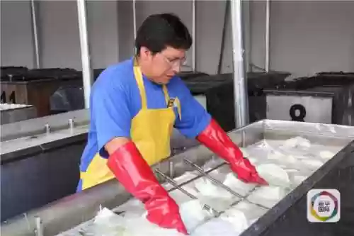 厄瓜多尔阵容粤语(乌拉圭vs厄瓜多尔阵容)插图6
