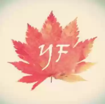 天启之境怎么设置最强阵容(天启诸葛平民稳定打法最新)插图10