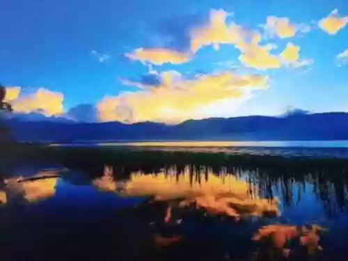 爱丽丝梦游记(爱丽丝漫游奇境记简介)