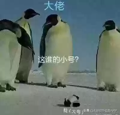 舰娘游戏哪个好玩(舰娘游戏排行榜前十名)
