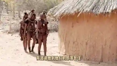 失落之城最强无尽阵容(失落之城14天困难模式平民)插图2